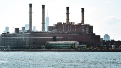 Photo of Produção química norte-americana sobe 0,8% em janeiro – ACC