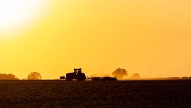 Photo of La Niña intensifica extremos climáticos, pressiona o agro e acende alerta no Brasil