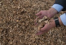 Photo of Cavaco de madeira ganha protagonismo na biomassa industrial e reforça papel estratégico em 2026