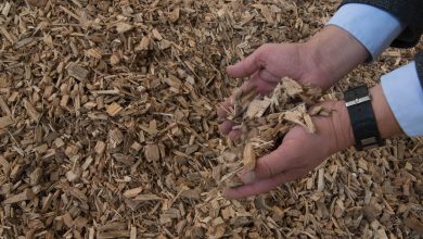 Photo of Cavaco de madeira ganha protagonismo na biomassa industrial e reforça papel estratégico em 2026