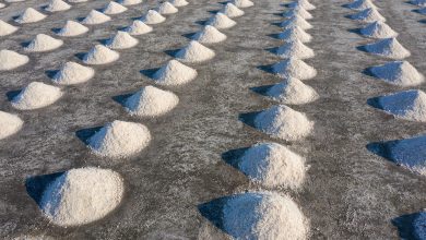 Photo of Pressão nos custos de energia impulsiona cotações da cal virgem no mercado global