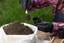 Photo of Setor de fertilizantes pede subsídio de até R$ 2 bilhões para Enxofre