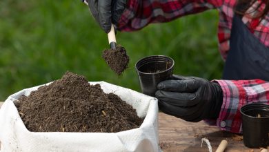 Photo of Setor de fertilizantes pede subsídio de até R$ 2 bilhões para Enxofre