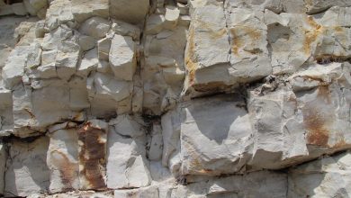 Photo of Alta dos fertilizantes aumenta a demanda por Calcário e acende alerta de oferta em Mato Grosso